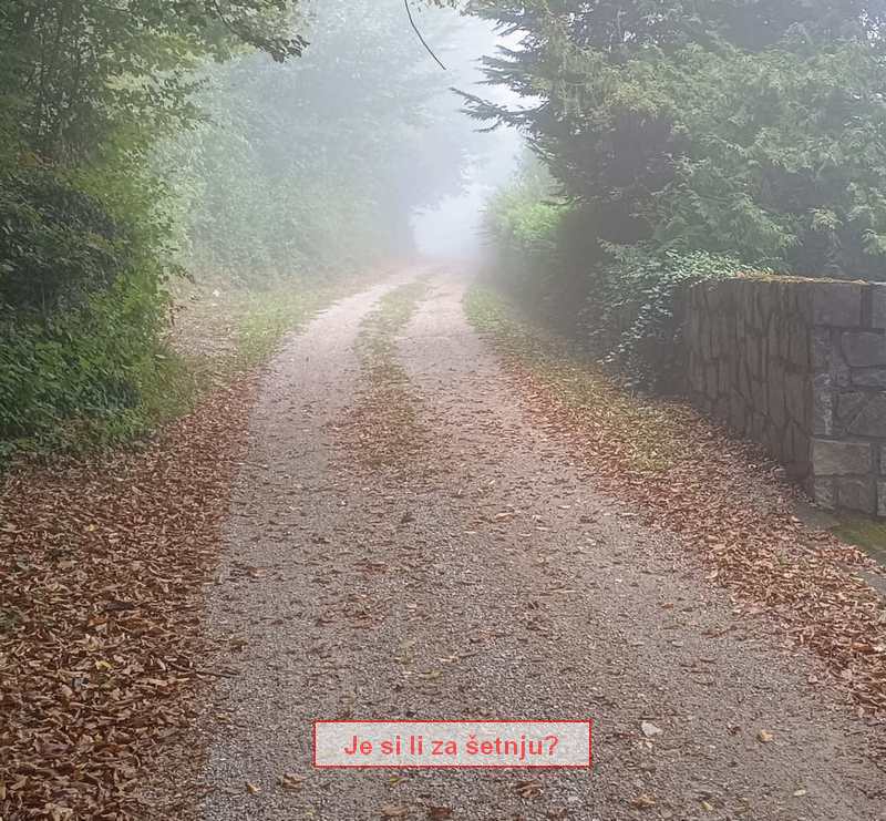 šetnja