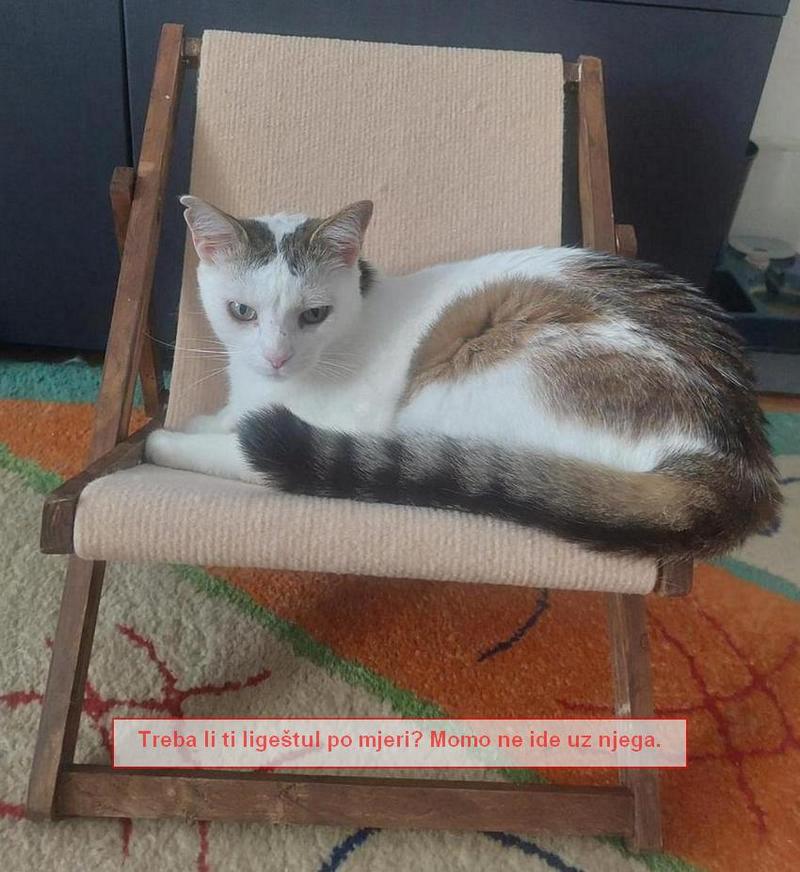 ligeštul